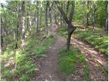 Dobrova - Vrhe above Dobrova